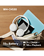 Sony WH-CH530W.CE7 Wireless Over Ear Headphones White