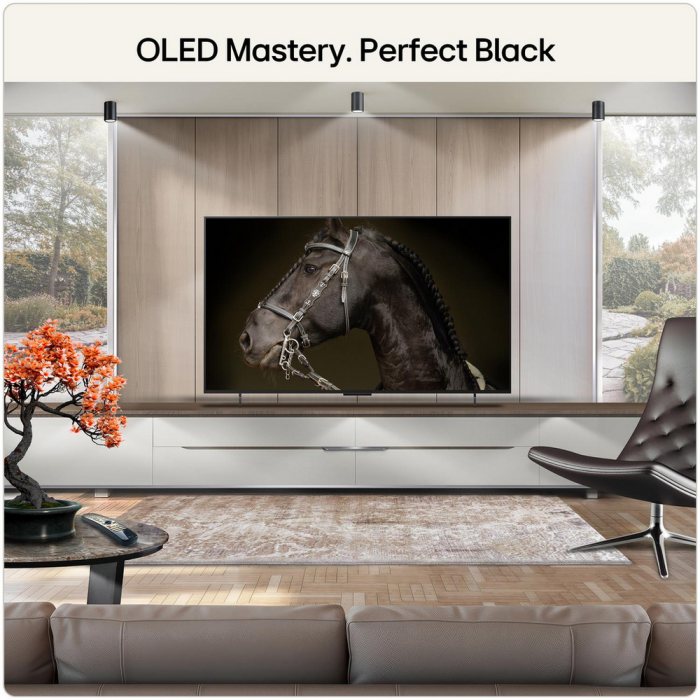 LG OLED42C66LB.AEK 42 inch 4K OLED Smart TV