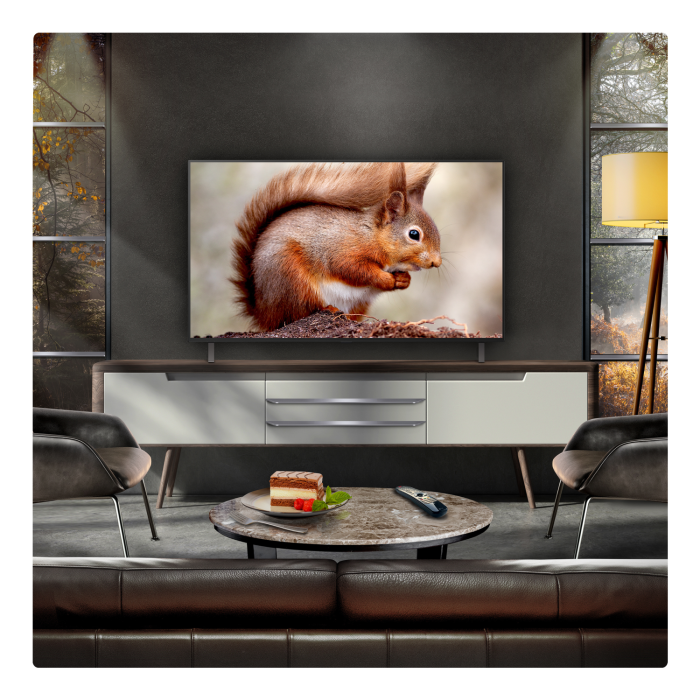 LG OLED AI B5 48inch 4K Smart TV