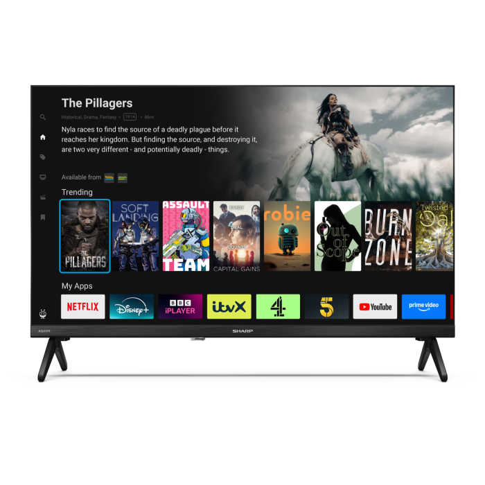 Sharp 1T-C24HE2245KB HDR TV in Black