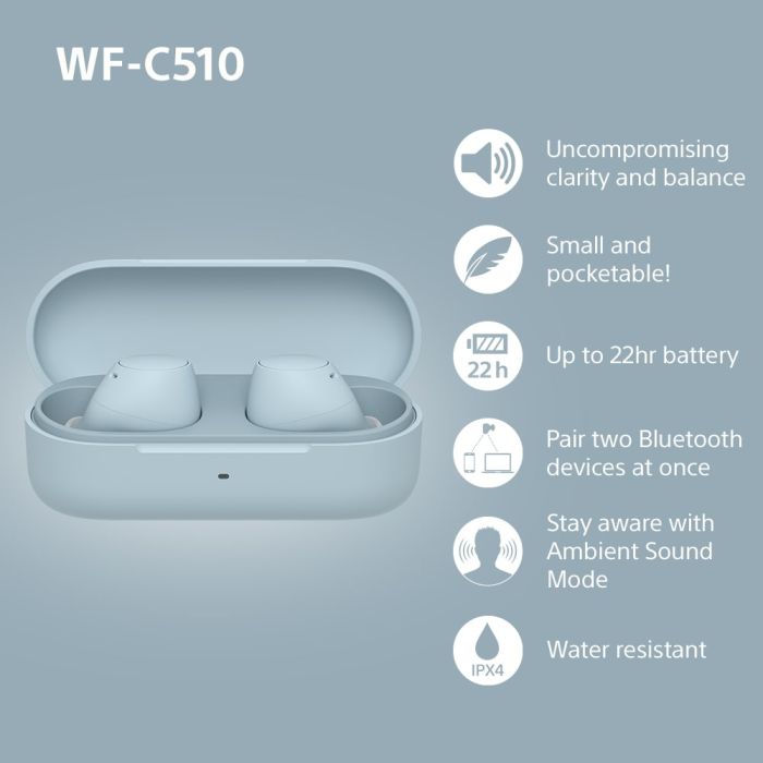 WFC510L.CE7 Wireless In ear headphones - Blue