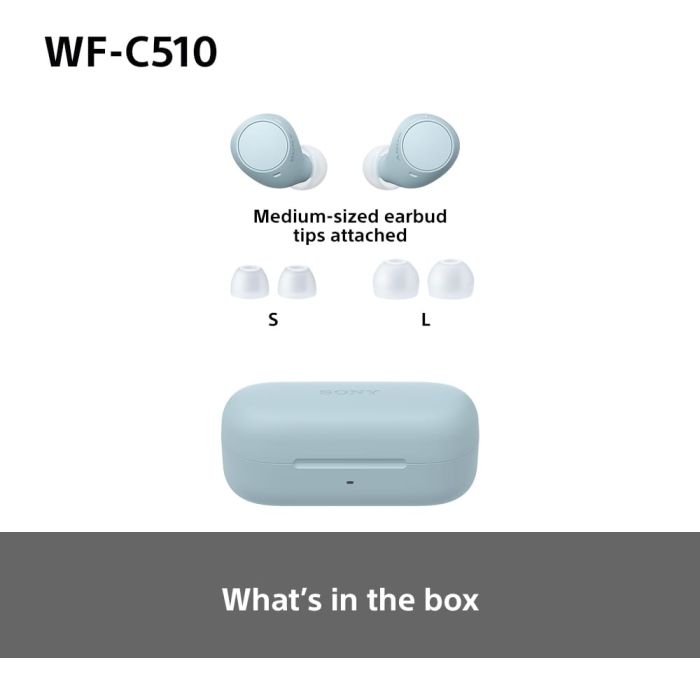 WFC510L.CE7 Wireless In ear headphones - Blue