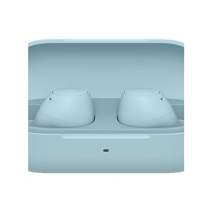 WFC510L.CE7 Wireless In ear headphones - Blue