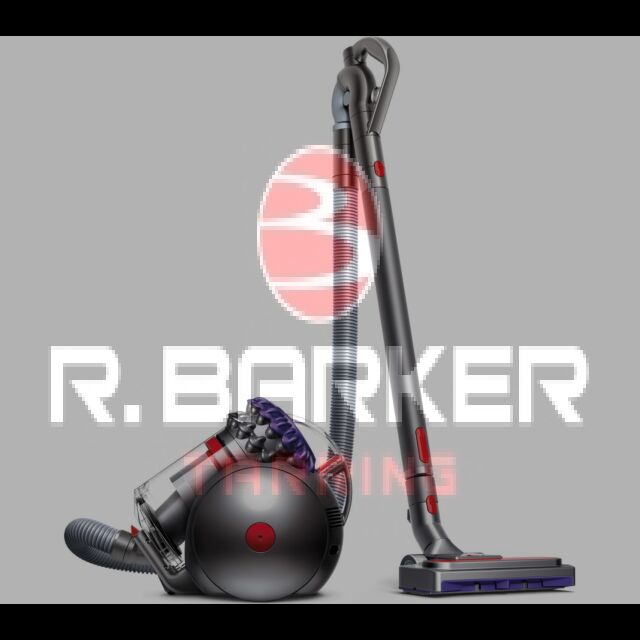 Dyson BIGBALLANIMAL2  Big Ball Animal 2 Cylinder Vacuum Cleaner